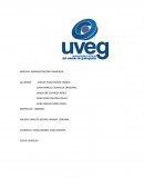 CONCLUSIONES CASO MADOFF