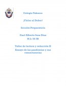 Ensayo de las pandemias y sus consecuencias