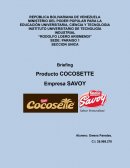 Briefing Producto COCOSETTE