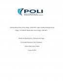 Métodos de Identificación y Valoración de Riesgos