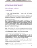 SOCIOLOGÍA DE LA ORGANIZACIÓN Y EL TRABAJO