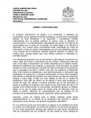 Ensayo Diseño Sostenible