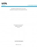 Metodología de la Investigación Limpieza de dataset