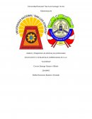 INNOVACION Y ESTRATEGIAS EMPRESARIALES S.A.C. “SANTINO”