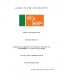 ESQUEMA DE LLAVES DE CLASIFICACIÓN DEL MERCADO Y EL FUNCIONAMIENTO GLOBAL DE LA ECONOMÍA