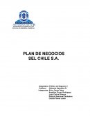 PLAN DE NEGOCIOS SEL CHILE S.A.