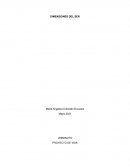 PROYECTO DE VIDA . DIMENSION DEL SER