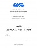EL PROCEDIMIENTO BREVE EN LEYES ESPECIALES