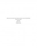 Aplicaciones de control ante riesgos ergonómicos laborales y protección epidemiológica