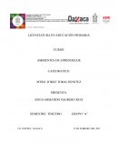 Observación docente