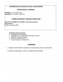 Análisis del largometraje - PELICULA “MANOS MILAGROSAS”