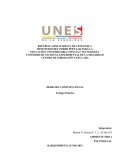 Derecho constitucional. Trabajo Práctico