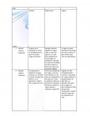 Anatomia Fis. Semana 3 - POE