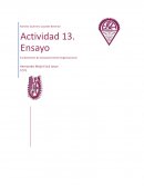 Actividad 13. Ensayo Fundamentos de Comportamiento Organizacional