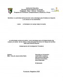 La actividades extracurriculares como estrategia para el fortalecimiento del cuerpo y la mente de los niños y niñas del grado 3ro