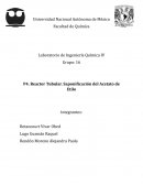 P4. Reactor Tubular. Saponificación del Acetato de Etilo