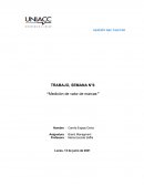 TRABAJO, SEMANA N°6 “Medición de valor de marcas”
