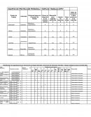 EQUIPOS DE PROTECCIÓN PERSONAL Y ROPA DE TRABAJO (EPP)*