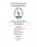 GESTIÓN DE LA CADENA DE SUMINISTROS