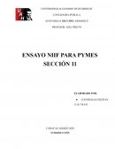 Niif para pymes seccion 11
