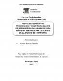 Producción y comercialización de refrigerios saludables para niños de jardines particulares en la ciudad de Huancayo