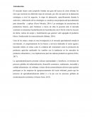 Investigación del mercado agroindustrial