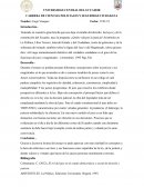 El rol del juez en el estado democrático y social de derecho y justicia