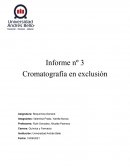Informe nº 3 Cromatografía en exclusión