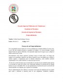 Ensayo de un Emprendimiento