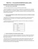Pruebas Evaluación Neuropsicológica