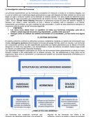 Sistema endocrino. La Investigación sobre las Hormonas