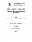 PRÁCTICA CALIFICADA 1: AVANCE DE ESTUDIO DE CASO