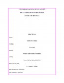 Practica Nº 6 CULTIVO DE CELULAS