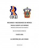 LA HISTORIA DE LAS COSAS