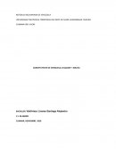 CONSTITUYENTE DE VENEZUELA, ECUADOR Y BOLIVIA