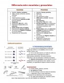 Diferencias entre procariotas y eucariotas