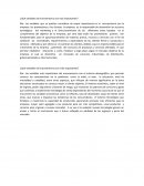 Qué variables del macroentorno son más importantes