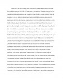 Opinión Economía,Covid-19