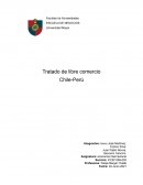 Economia internacional. TLC Chile - Perú