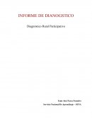 INFORME DE RESULTADOS DE DIAGNOSTICO DE LA ZONA DE ESTUDIO, LA ORGANIZACIÓN Y/O LA EMPRESA AGROPECUARIA RURAL