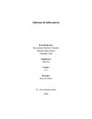 Informe de laboratorio. Practica de los gases