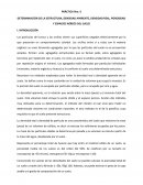 DETERMINACIÓN DE LA ESTRUCTURA, DENSIDAD APARENTE, DENSIDAD REAL, POROSIDAD Y ESPACIOS AÉREOS DEL SUELO