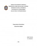 Ensayo sobre el Sincretismo Cultural de la Región