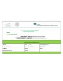 PLAN DE CUIDADOS DE ENFERMERIA PACIENTE GERIATRICO