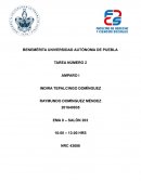 Derecho constitucional y de amparo de Venezuela