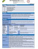 Sistema de cultivo hidroponico