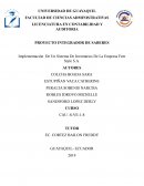 Implementación De Un Sistema De Inventarios De La Empresa Fem Style S.A.