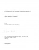 ENTORNOS VIRTUALES DE APRENDIZAJE COMO ESTRATEGIA DIDÁCTICA