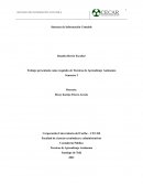 Resumen de los sistemas de información contable