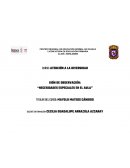 GIÓN DE OBSERVACIÓN: “NECESIDADES ESPECIALES EN EL AULA”